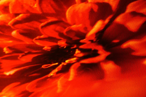 Яркий Красный Абстрактный Фон Мягкий Фокус Крупным Планом — стоковое фото
