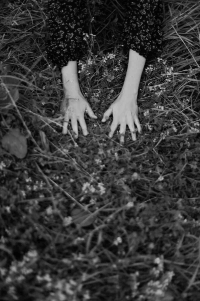 女人的手和植物 大自然和人类 黑白相框 — 图库照片