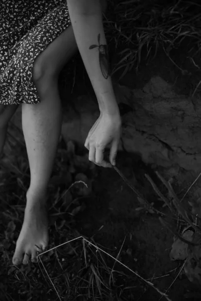 Las Manos Plantas Las Mujeres Naturaleza Hombre Marco Blanco Negro —  Fotos de Stock