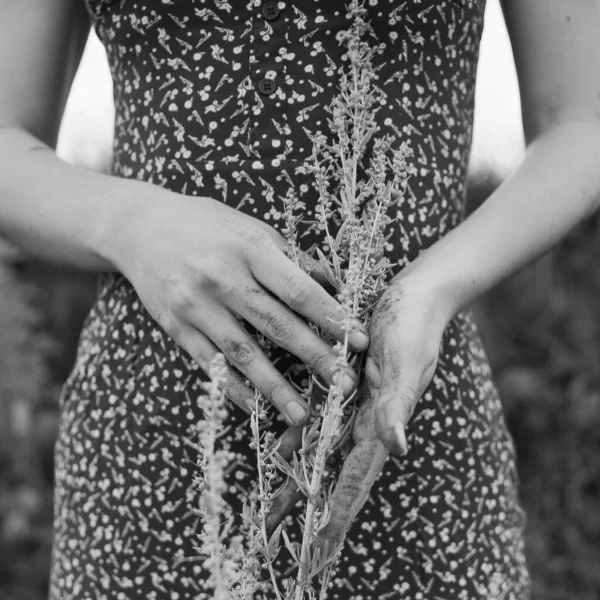 Kobiece Dłonie Rośliny Natura Mężczyzna Czarno Biała Ramka — Zdjęcie stockowe