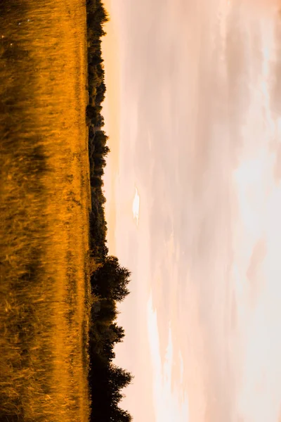 Abstrato Outono Fundo Bela Paisagem Natureza Laranja — Fotografia de Stock