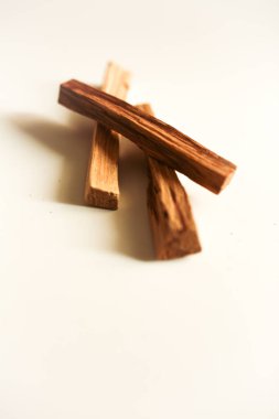 Beyaz arka planda birkaç palo santo ağacının üst görünümü.