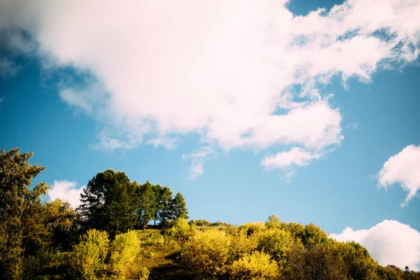 Florestas Russas Bela Paisagem Colorida Fotografia Natureza Uma Câmera Filme — Fotografia de Stock