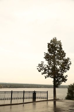 Renkli sarı, turuncu, yeşil ve kırmızı sonbahar yaprakları ağaç dallarına düşer. Mevsimsel sonbahar havası arka plan dokusunu terk eder