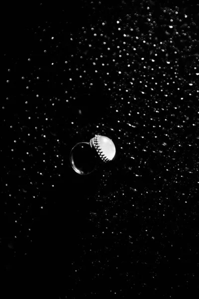 Stylisches Ehering Foto Schwarz Weiß Ästhetik Und Weicher Fokus Regen — Stockfoto