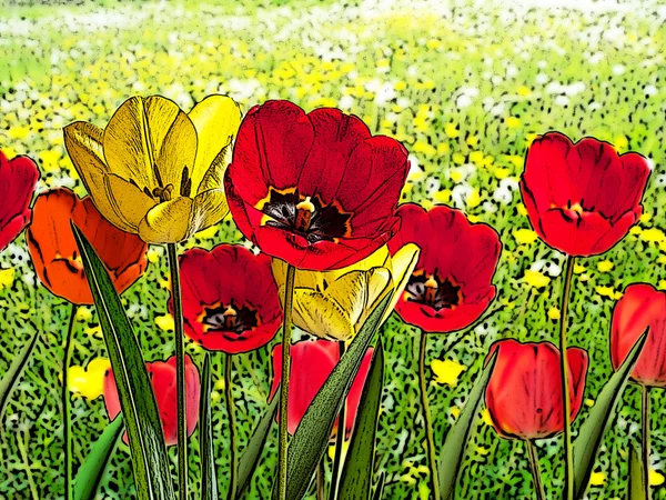 Illustration af seng af tulipaner - Stock-foto