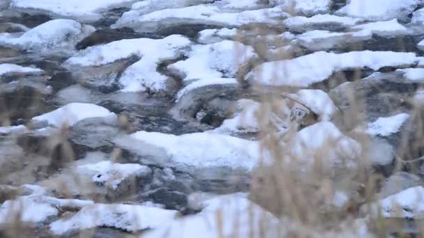 Congelado sobre a barragem no inverno — Vídeo de Stock