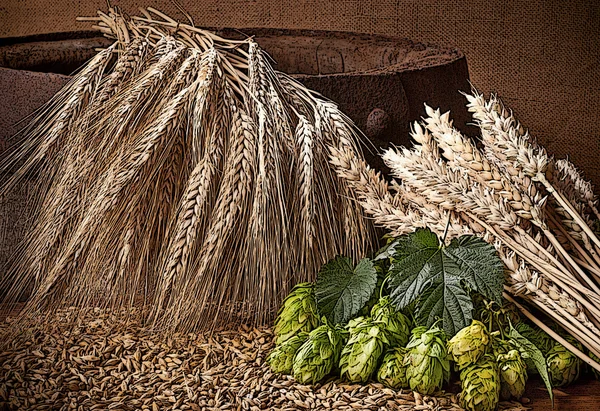 Ilustración de lúpulo, cebada y trigo en el barril viejo — Foto de Stock