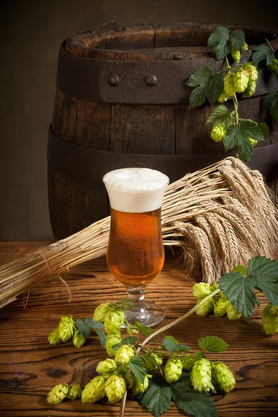 Natura morta con birra — Foto Stock