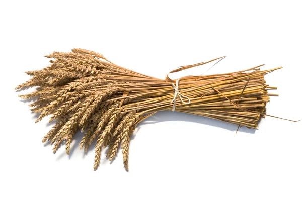 Wheat on the white — Stock Photo, Image