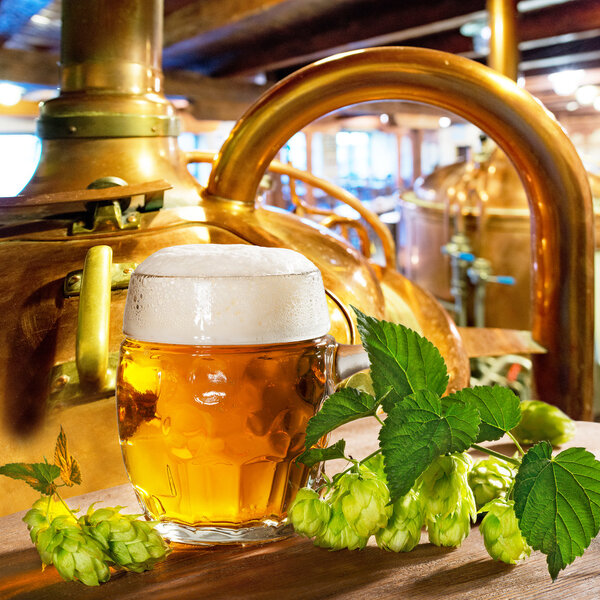 glass of beer with hop cones in the brewery