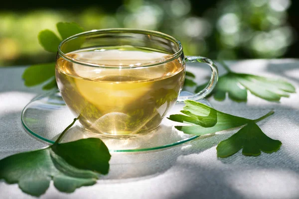 Glass of herbaceous tea with ginkgo leaves — Stock Photo, Image