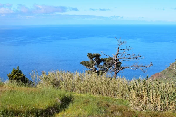 Paisagem costeira na ilha da Madeira, Portugal — Fotografia de Stock