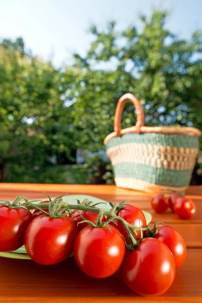 Rode tomaten met boodschappentas — Stockfoto