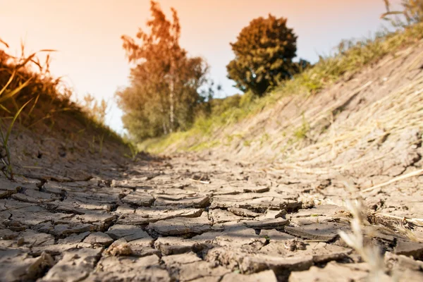 A dry creek bed in the hot summer — Stock Photo, Image