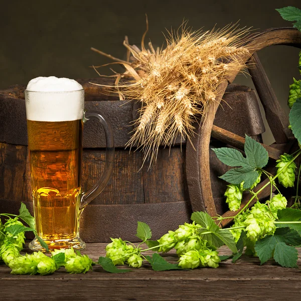 Glas Bier mit Rohstoff für die Bierproduktion — Stockfoto