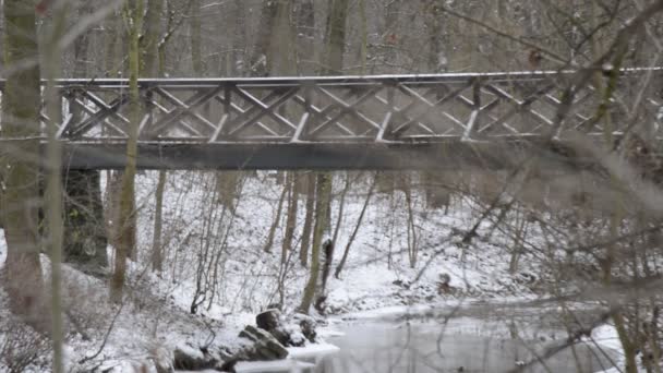 Fußgängerbrücke in der Wildnis im Winter, — Stockvideo