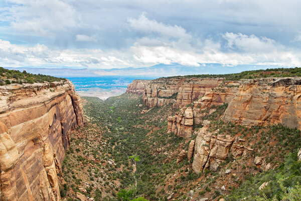 Landscape in Colorado National Monument  in USA