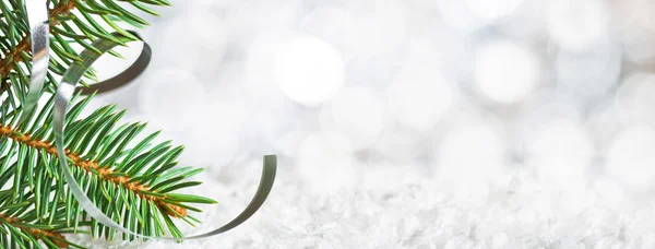 Christmas twig on the snow — Stock Photo, Image