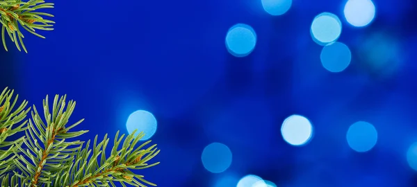 Fondo azul de Navidad con ramita de Navidad y Ligh desenfocado — Foto de Stock