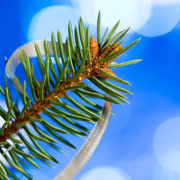 Detail vánoční větvička — Stock fotografie