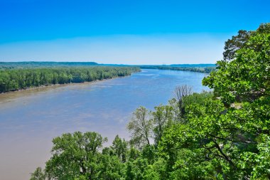 Missouri Nehri ile orman bahar
