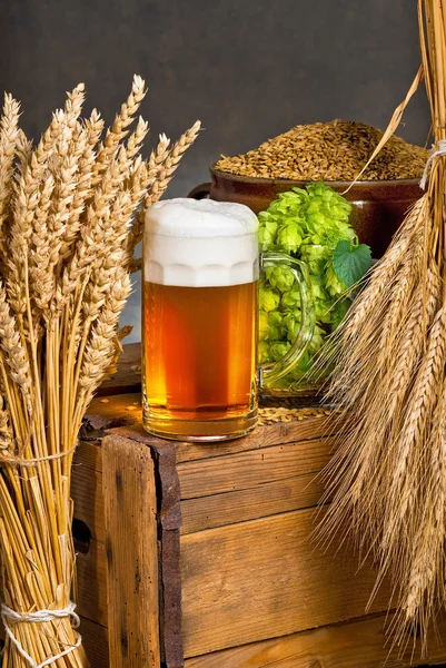 Glass of beer with raw material for beer production — Stock Photo, Image