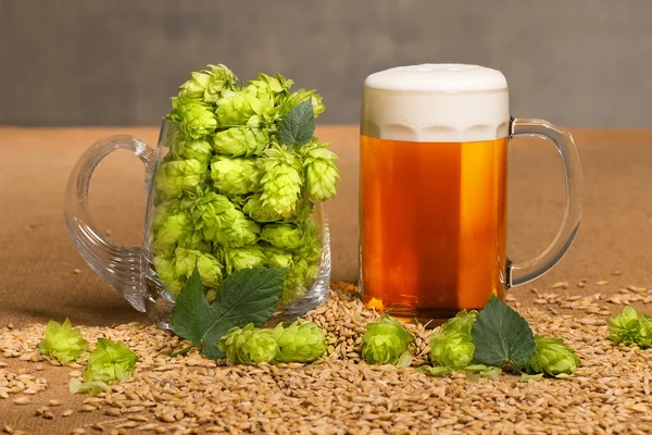 Glas öl med råvara för att tillverka öl — Stockfoto