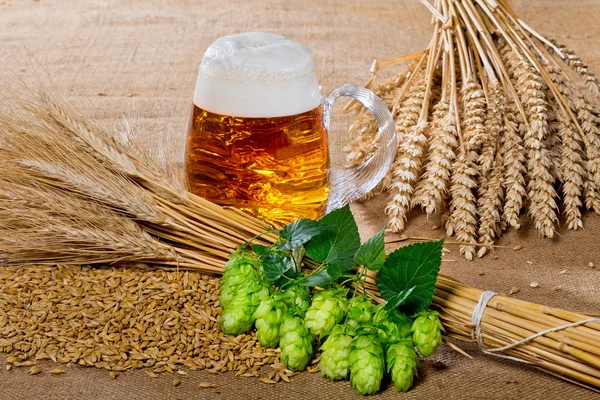 Bicchiere di birra e materie prime per la produzione di birra — Foto Stock