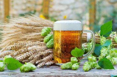 bardak bira ile atlama ve bira üretimi için ham maddeler