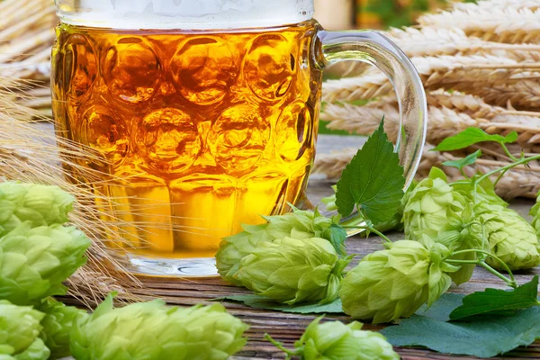 Bicchiere di birra con luppolo e materia prima per la produzione di birra — Foto Stock