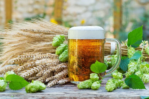Glas öl med humle och råmaterial för att tillverka öl — Stockfoto
