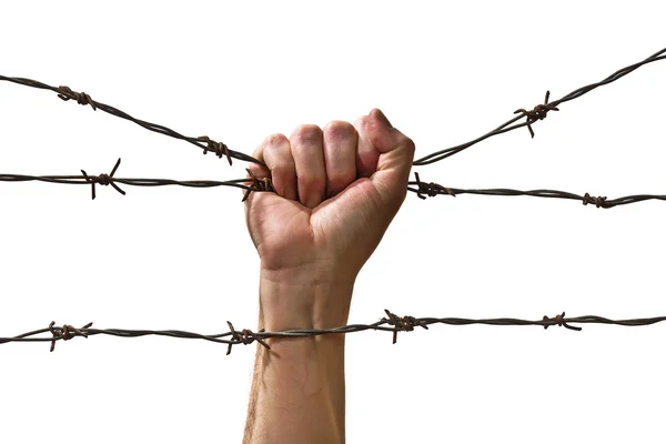 Hand behind barbed wire — Stock Photo, Image