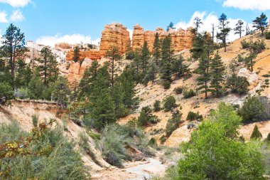 Bryce Canyon Ulusal Parkı Utah, ABD