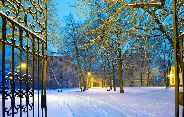 Winter park s brána v noci — Stock fotografie