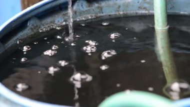 Yağmur suyu su varil içine akış, 