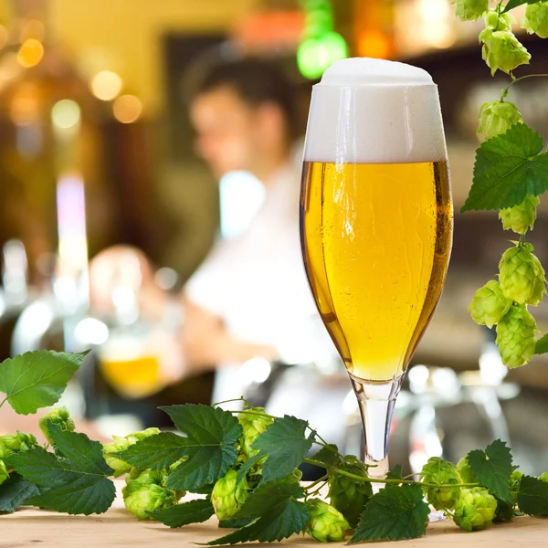 Copo de cerveja e lúpulo no pub — Fotografia de Stock