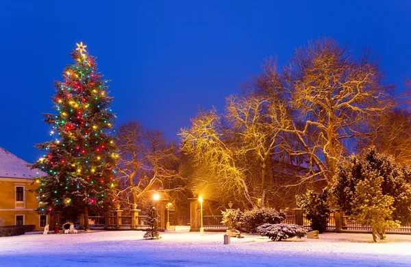 Albero di Natale con neve di notte — Foto Stock