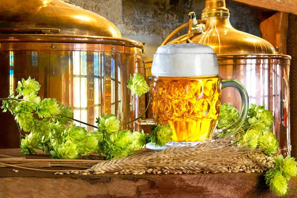 Beer glass and raw material for beer production in the brewery — Stock Photo, Image