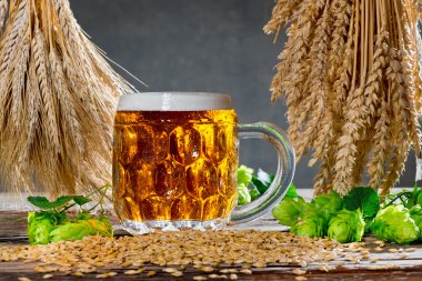 Natürmort hop koniler ve bira üretimi için ham maddeler
