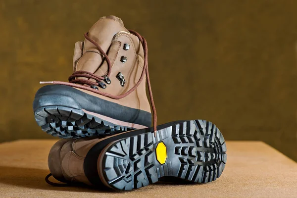 Diese Schuhe Sind Zum Wandern Geeignet — Stockfoto