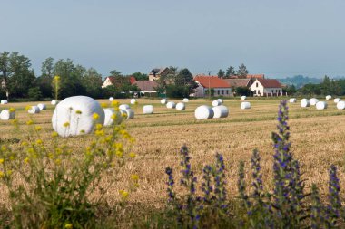 Köyün önündeki saman balyaları. Çek Cumhuriyeti.