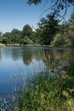 Yazın Riverbank 'te. Çek Cumhuriyeti.