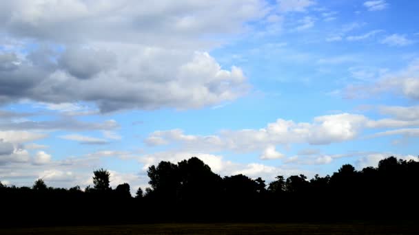 Силуэт пейзажа с небом, временным промежутком, без птиц , — стоковое видео