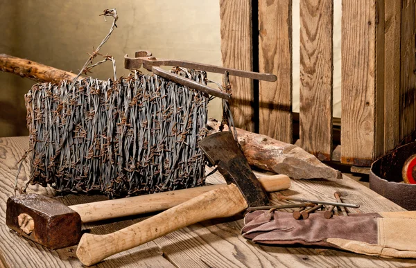 Martwa natura z drutu kolczastego — Zdjęcie stockowe