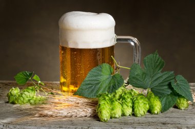 şerbetçiotu bira cam