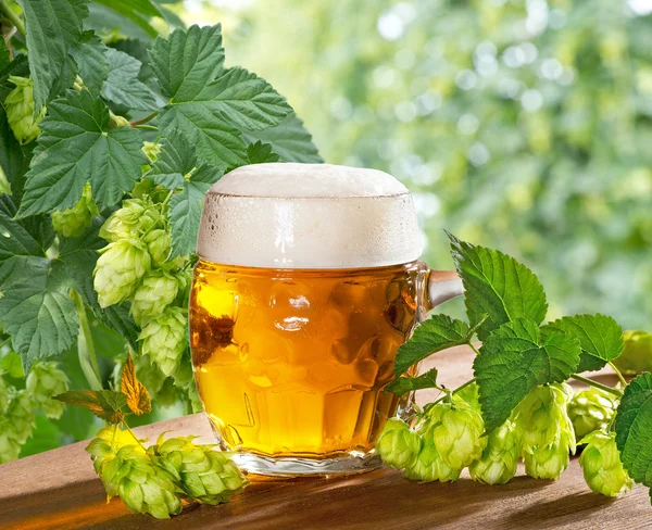 Beer and Hops — Stock Photo, Image