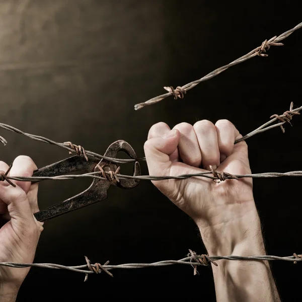 Barbed wire with hands — Stock Photo, Image