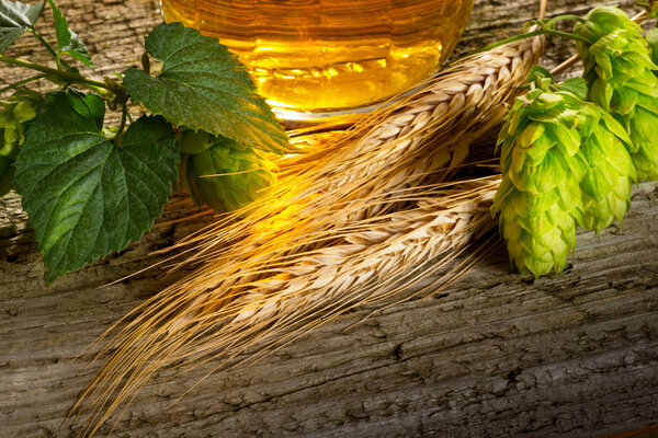 Конусы и ячмень
