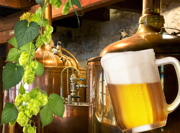 Beer And Hops — Stock Photo, Image